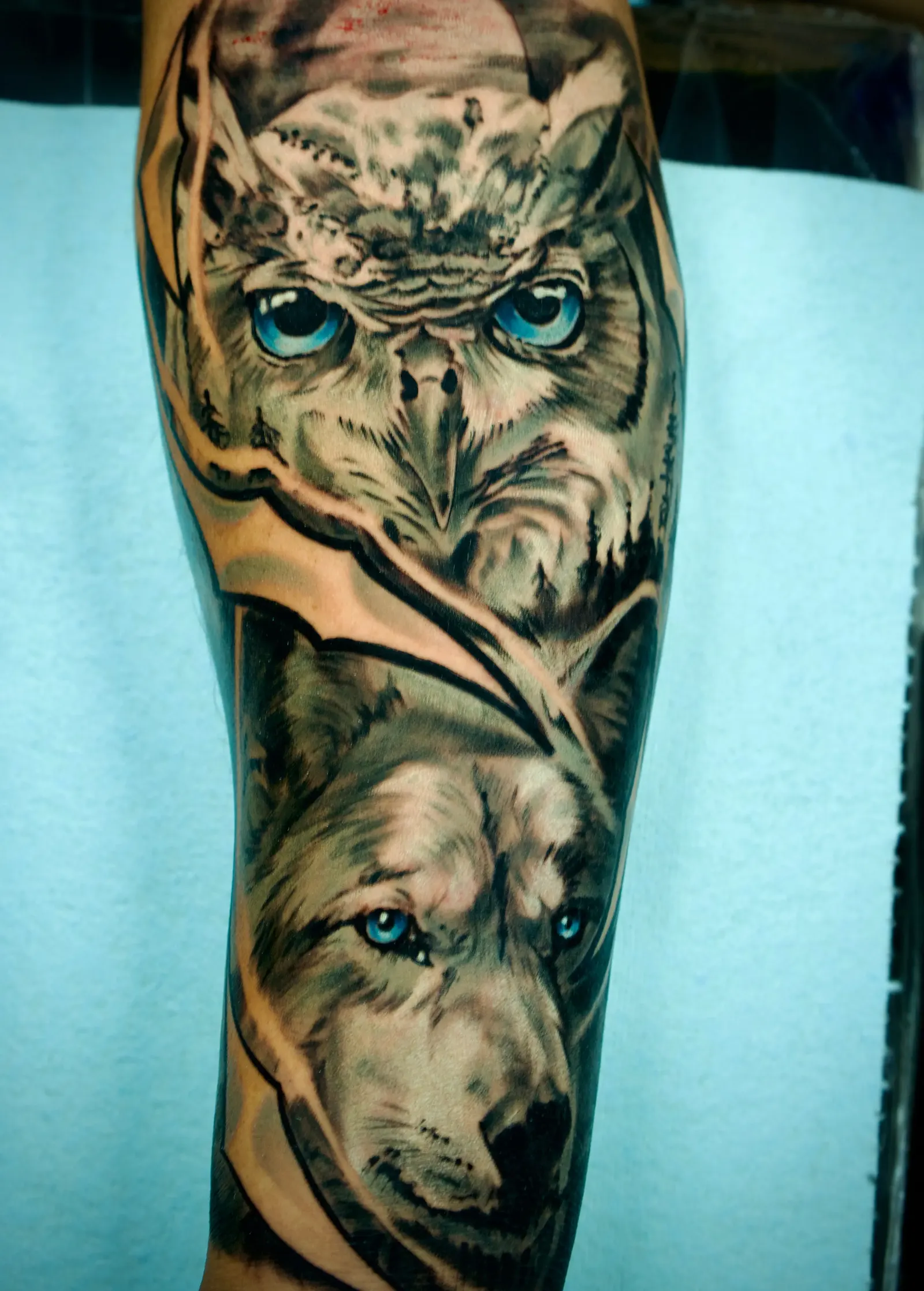 Eagle Portrait by Briant Ruiz